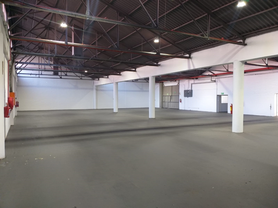 To Let Commercial Property for Rent in Paarden Eiland Western Cape